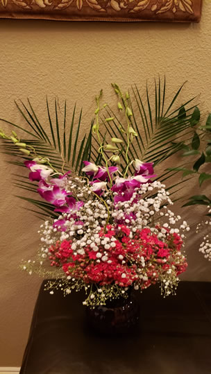 Gyp Kalanchoe Willow Palm Dendrobium